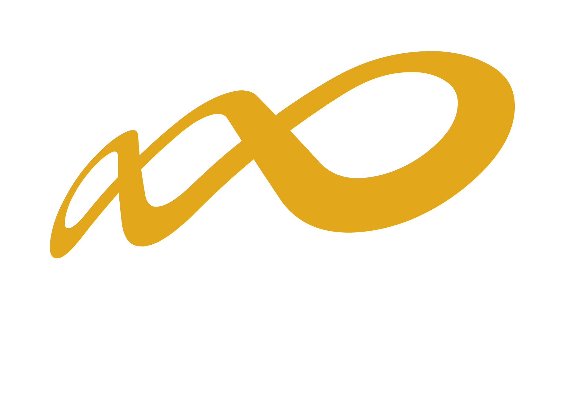 Logotipo rectangular positivo